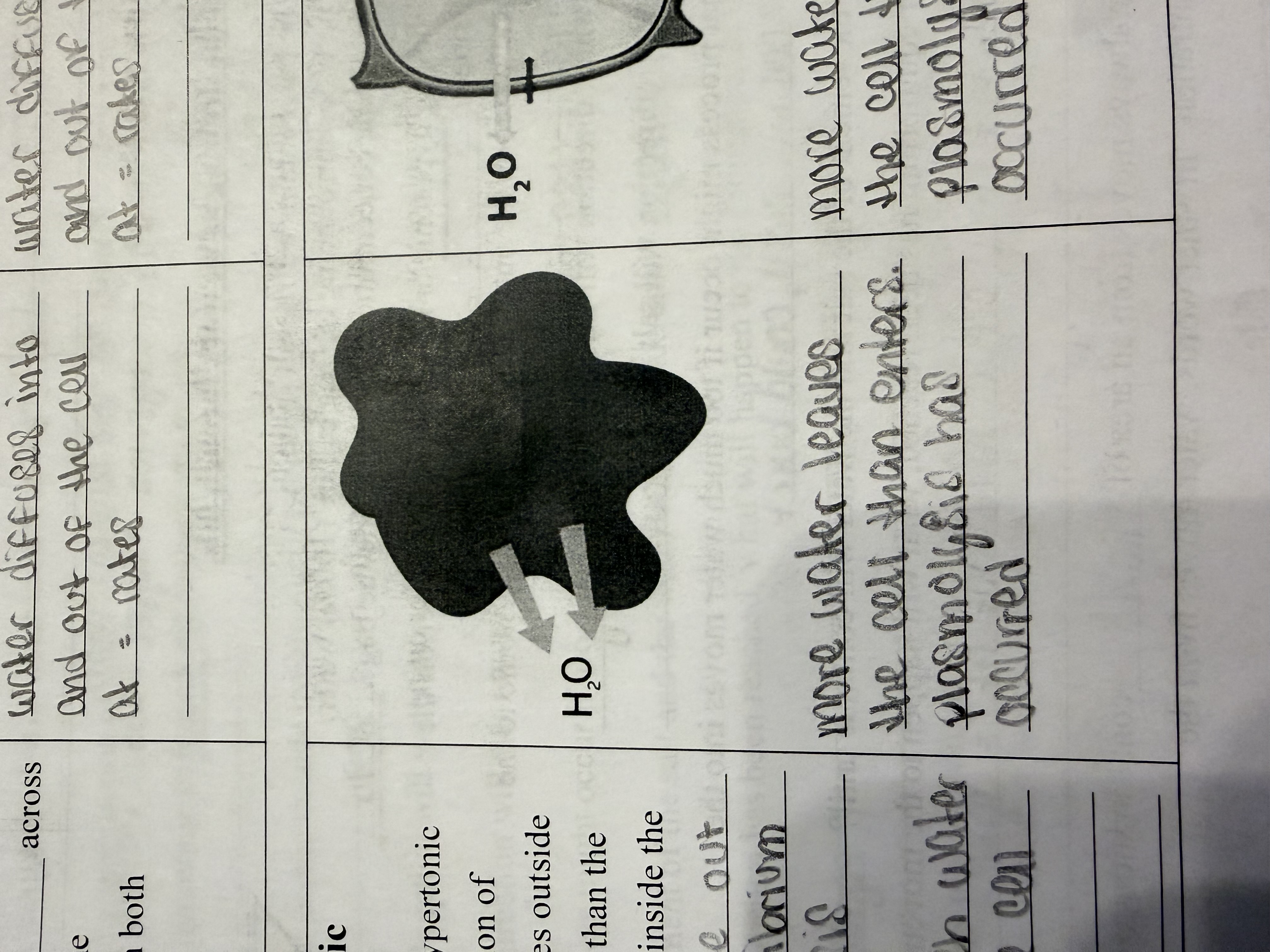 <p>when more water leaves the cell than enters (out)</p>