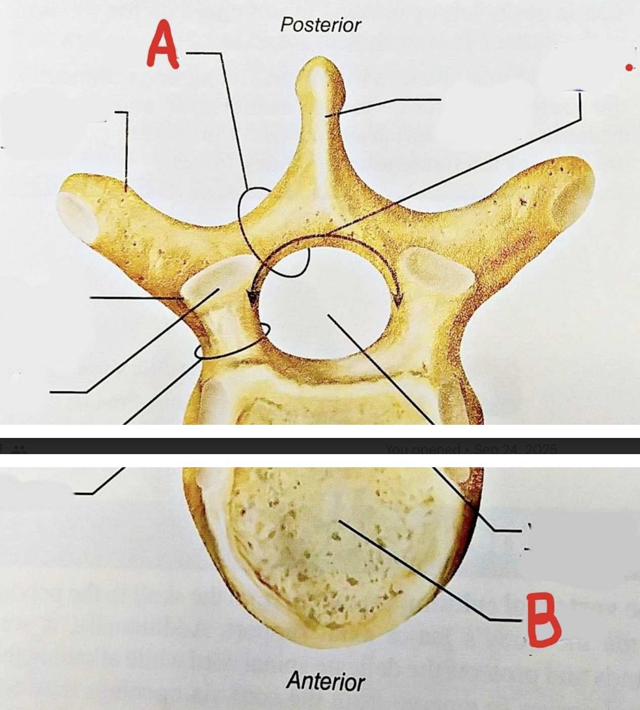 <p>A is ___, B is ____</p>