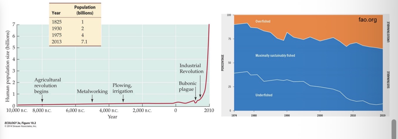 <ul><li><p>For a human to persist, you need large area to produce food each of us needs</p></li><li><p>We have increased population sizes, so we are running into problem of where will all the food we need come from</p></li><li><p>Concerns about</p><ul><li><p>Fish that are needed to be taken out of ocean to feed us → overfishing problem</p></li></ul></li></ul><p></p>