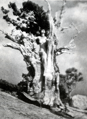 term image