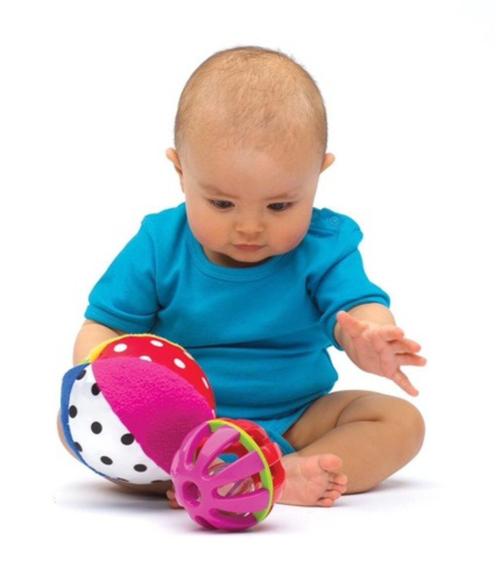 <p>in Piaget's theory, the stage (from birth to about 2 years of age) during which infants know the world mostly in terms of their sensory impressions and motor activities</p>