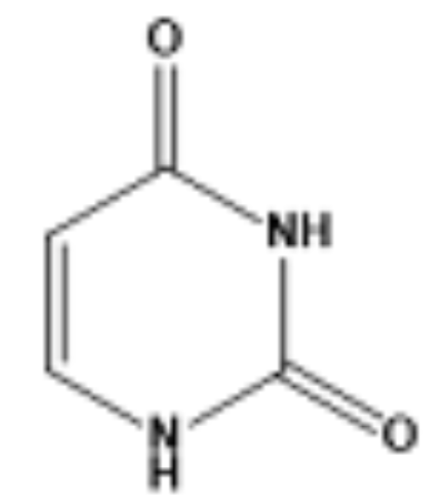 <p>which base is this?</p>