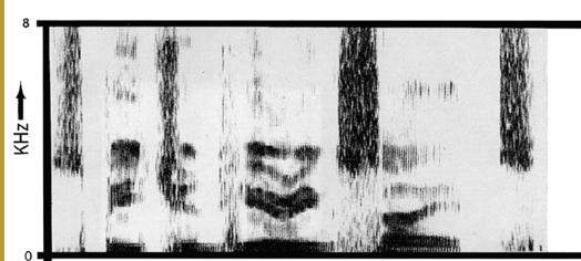 <p>Narrowband or wideband spectrogram??</p>