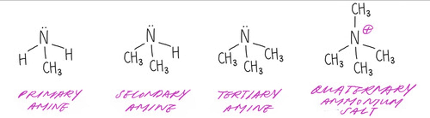<p>(quaternary ammonium salt is NOT an amine)</p>