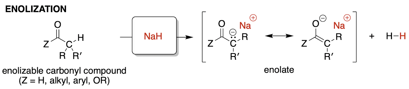 <p><strong>enolization</strong> mechanism<br>* enolate is a deprotonated carbonyl, which is defined by C=O</p>