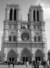 term image