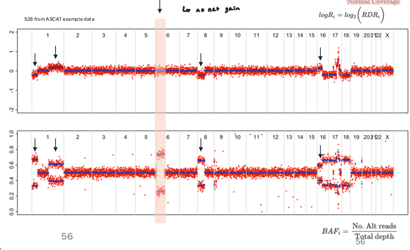 <ul><li><p>shift in allele representation, but no visible gain or loss</p></li><li><p>occurs when one allele is lost in replaced by other allele (still the same amount of copies, but there’s a loss in heterozygosity) </p><ul><li><p>no net gain</p></li></ul></li><li><p>wouldn’t show as a change in logR, but in BAF, deviates from 0.5 (allelic imbalance)</p><ul><li><p>Instead of a single band at 0.5, heterozygous SNPs split toward 0 and 1, forming two “allele-specific” clusters</p></li></ul></li></ul><p></p>