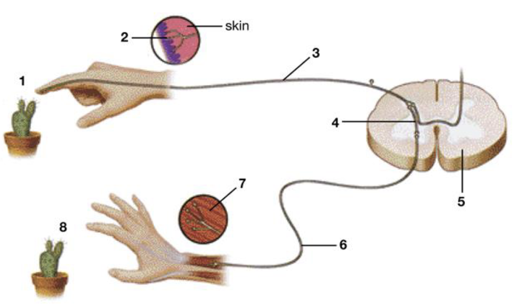<p>Label figure 4.</p>