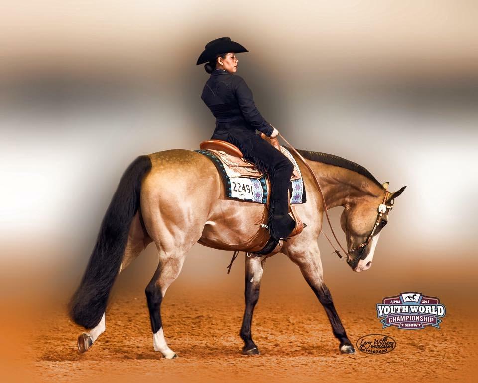 <p>American Buckskin </p>