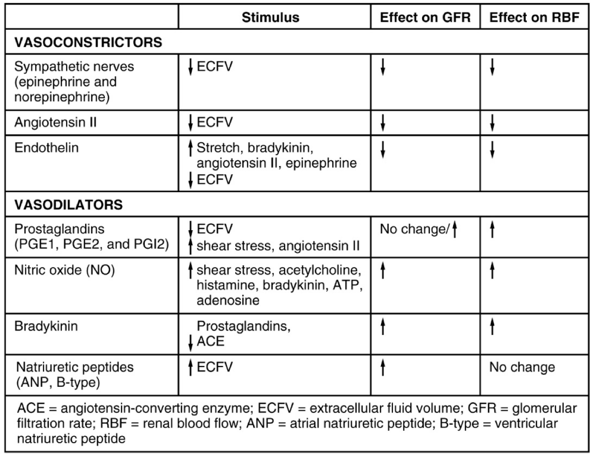 <p><strong>Q:</strong> What does renin do in the bloodstream?</p>