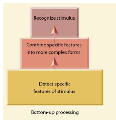 <p>A progression from individual elements to the whole.</p>