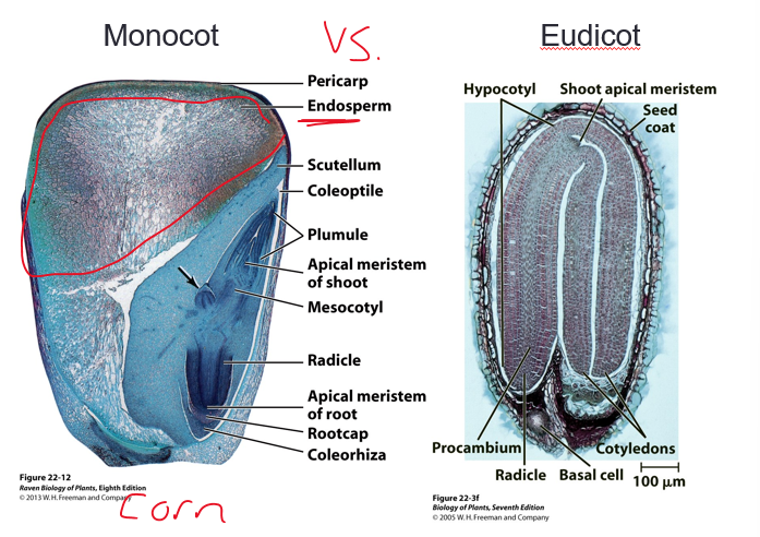 <p><span style="color: rgb(0, 0, 0);"><mark data-color="#d1ff30" style="background-color: rgb(209, 255, 48); color: inherit;">ill come back to this </mark></span></p>
