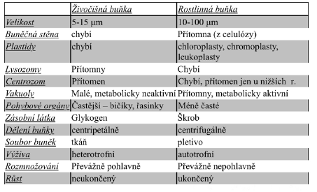 <p>Rozdiely medzi živočíšnou a rastlinnou bunkou</p>