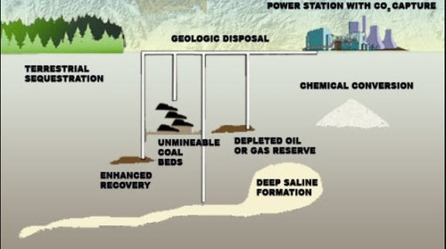 <p>(wychwytywanie i składowanie CO₂) -capturing carbon and storing underground.</p>