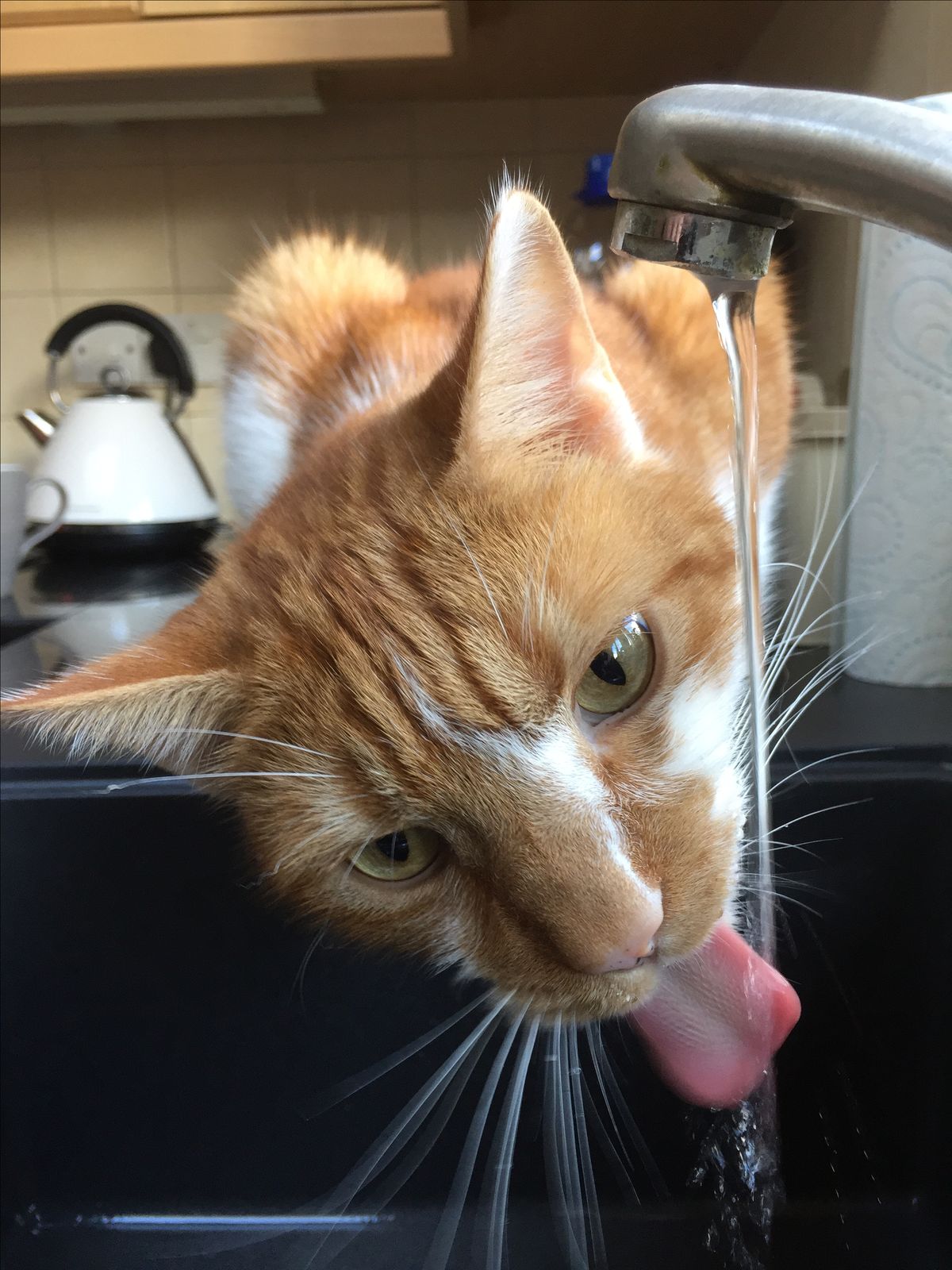 <p>I <strong>am</strong> <strong>thirsty</strong>.</p>