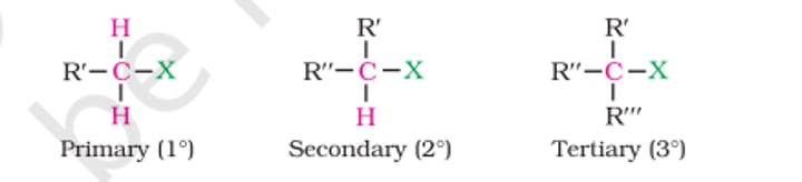 <p>Alkyl Halides:<br>- Primary (1⁰) [1 β carbon] R-CH₂-X<br>- Secondary (2⁰) [2 β carbons] CH(R)₂-X<br>- Tertiary (3⁰) [3 β carbons] CH(R)₃-X</p>