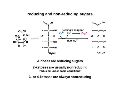 ~ Some disaccharides like sucrose