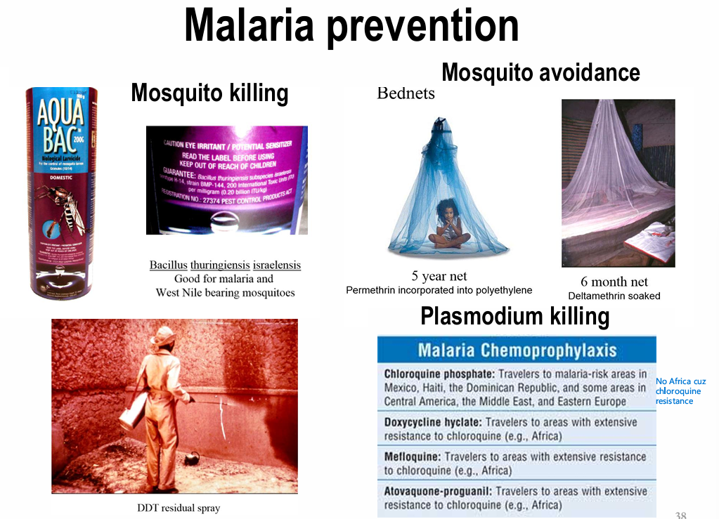 <ol><li><p><strong><u>Causual Prophylaxis</u></strong>: Kill parasites in hepatocytes: Primaquine (++++) / Malarone (++)</p></li><li><p><strong><u>Suppressive Prophylaxis</u></strong>: Kill asexual parasites in RBCs: Chloroquine/ malarone/ mefloquine/ Doxycyline (all ++++)</p></li><li><p><strong><u>Gametocytoicidal Prophylaxis</u></strong>: Kill gameocytes: Primaquine (++++)</p></li></ol><p></p>