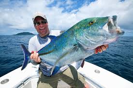 <p>fish</p>