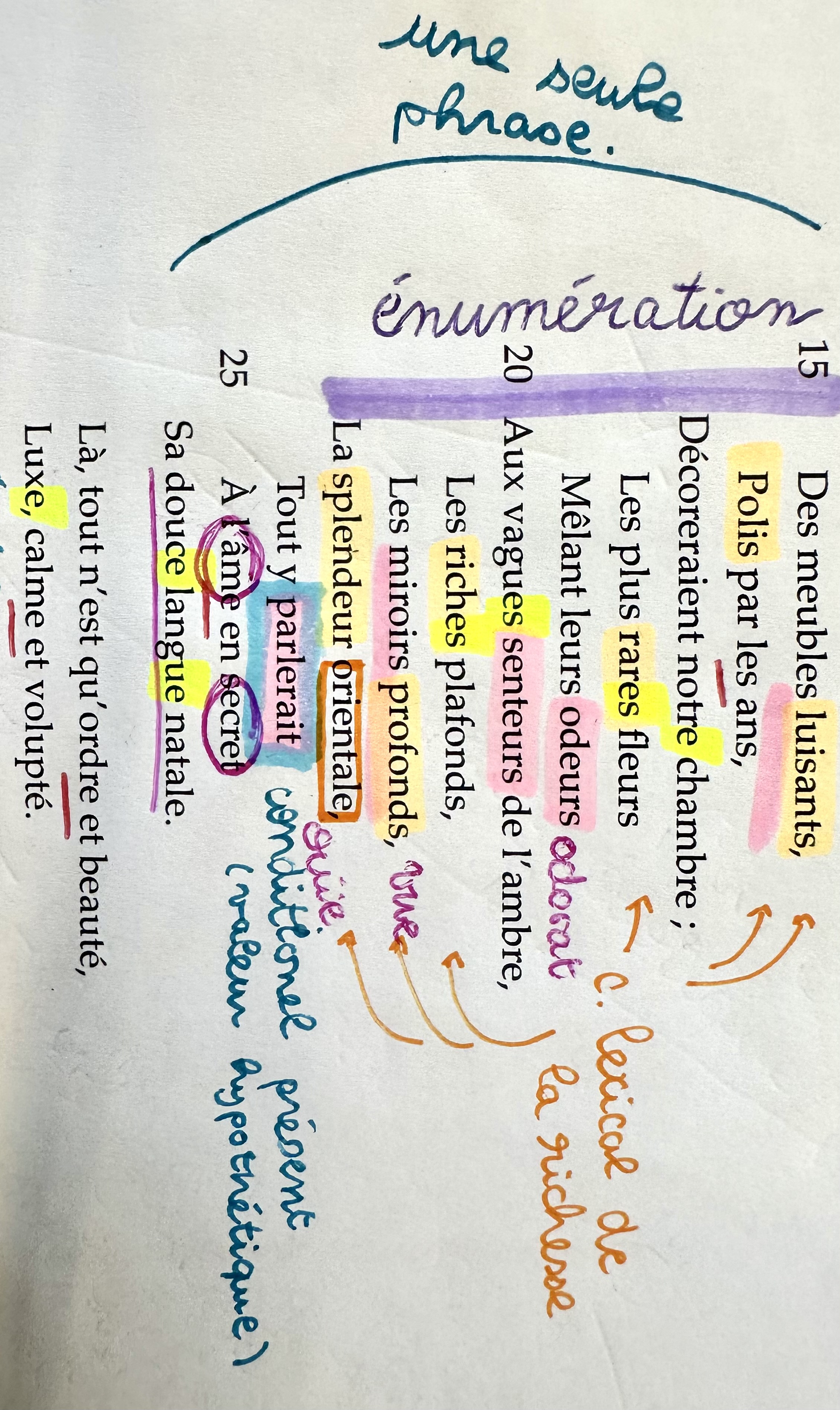 <p>Invitation au Voyage - Un décor exotique (4)</p>