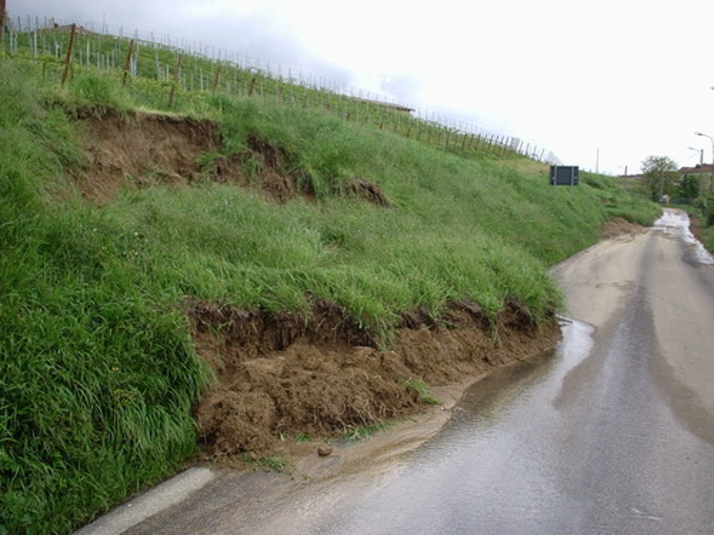 <p>Removal of cliff face material under the influence of gravity in the form of rock falls, slumping and landslides.</p>