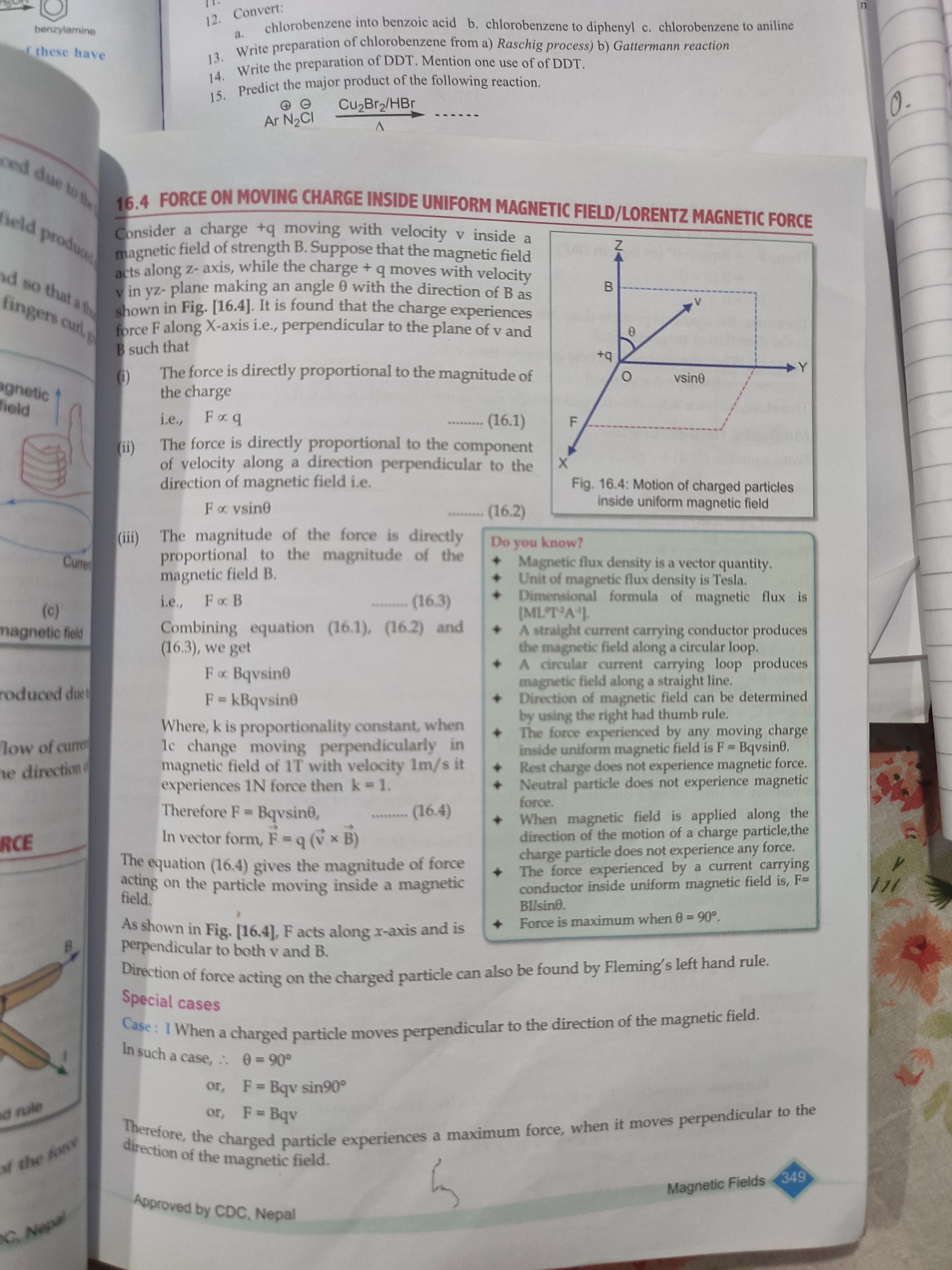 knowt flashcard image