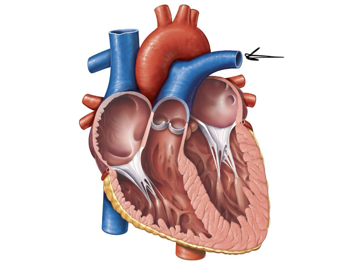 <p>Label and function</p>