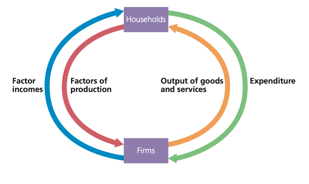 <p>Two sector economy only has the Households and Firms. (Note, all the money flows are on the outside. The asset flows are inside)</p>