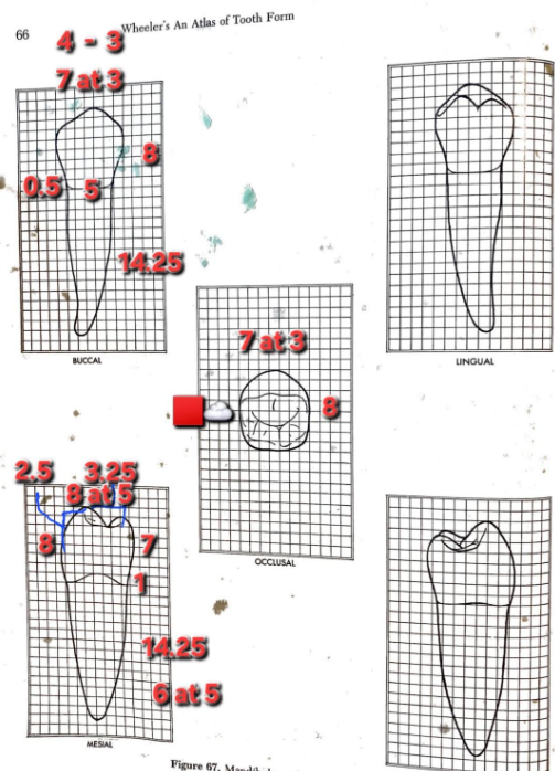 knowt flashcard image