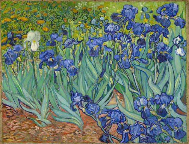 <p><strong>Irises</strong> by <em>Vincent Van Gogh</em></p><p>$ 53.9 million - $ 116 million</p>