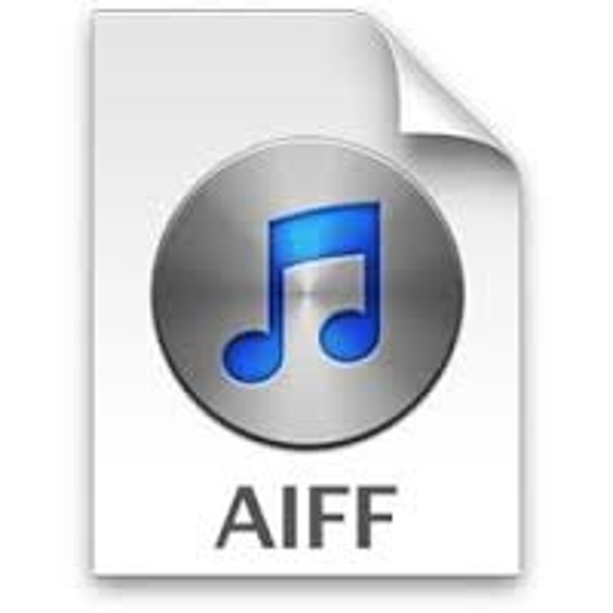 <p>a standard way that information is encoded for storage in a computer file</p>
