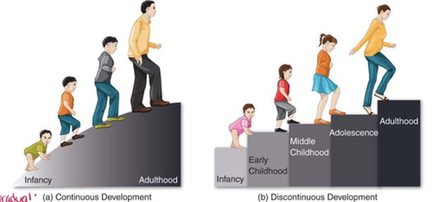 <p>the idea that changes with age are cumulative and occur gradually (e.g., Vygotsky's theory)</p>