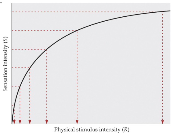 <p>Fechner’s Law</p><p>The magnitude of subjective sensation increases proportionally to the logarithm of the existing stimulus intensity</p><p>dS = k log S</p>