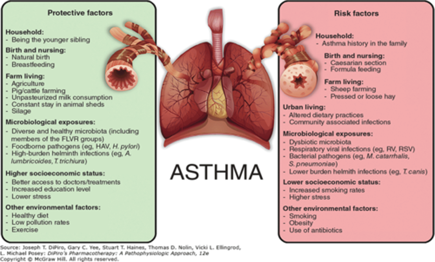 <p>- asthma history in family</p><p>- C section, formula feeding</p><p>- farm living: sheep farming, hay</p><p>- urban living (diet, infections)</p><p>- microbes: respiratory viral, dysbiotic, bacterial pathogens, low burden helminth</p><p>- increased smoking, stress, obesity, antibiotics</p>