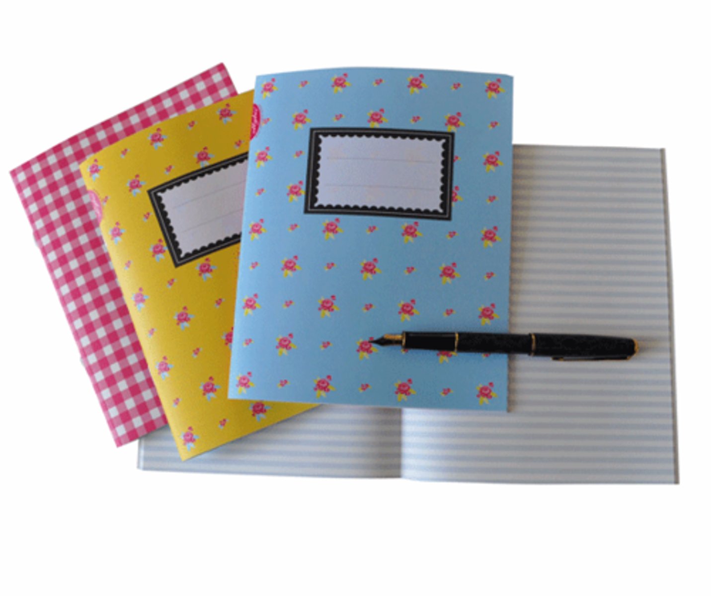 <p>das Heft, die Hefte</p>