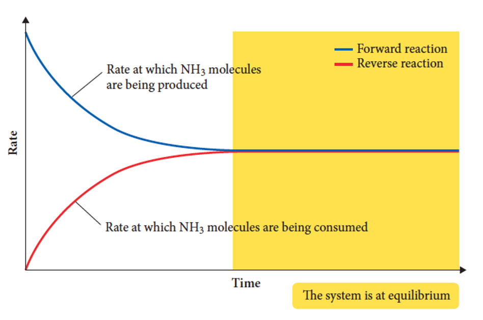<p><span>when the rates of forward and reverse reactions are equal and concentrations of products and reactants are constant.</span></p><p></p>