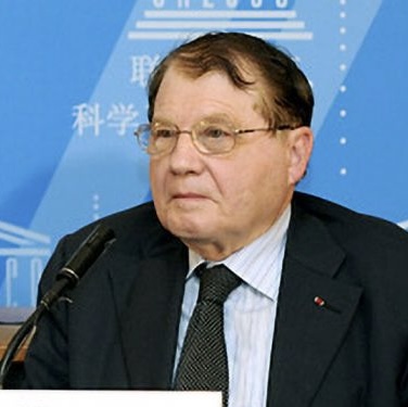 <p>Who is he?</p>