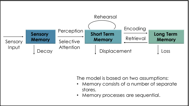 <p>What does the model state?</p>