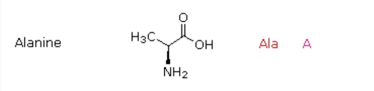 <p>Ala, A</p>