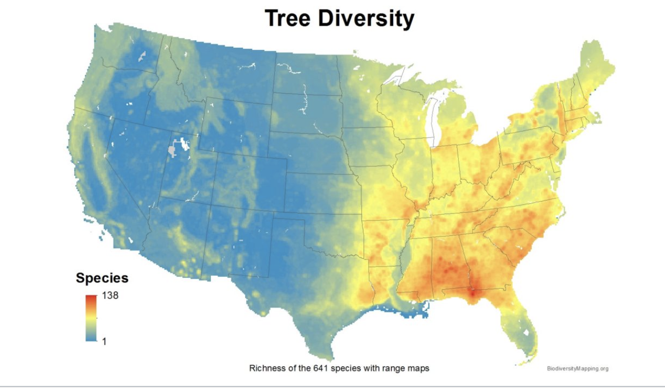 <ul><li><p>south east has the most tree diversity while the west has barely any tree diversity</p></li><li><p>similar trend for tree endemics</p></li></ul><p></p>
