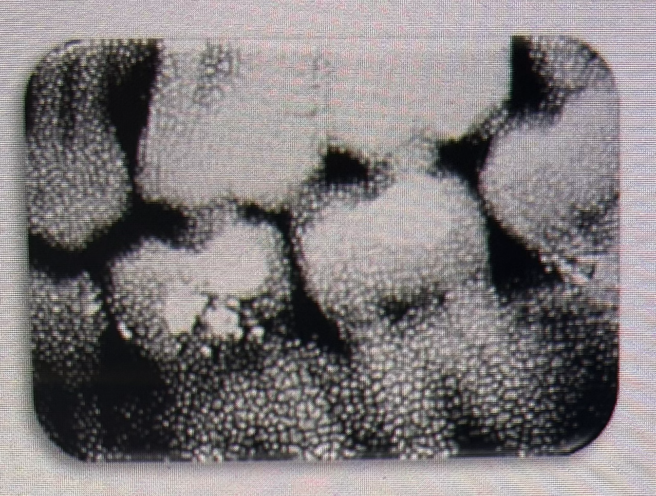 <p>THE PROCESSING ERROR DEPICTED IN THE PICTURE CAN BE DESCRIBED AS WHAT? THE CAUSE WAS DUE TO:</p>