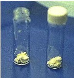 <p>To preserve cells as a pure dry (lyophilized) powder produced by freezing and removal of ice by sublimation. NOT FOR ALL ORGANISMS</p>
