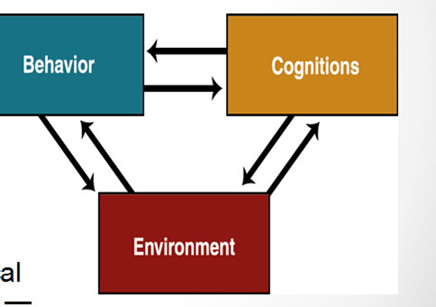 <p>how one's behavior, internal cognition, and environment all influence each other</p>