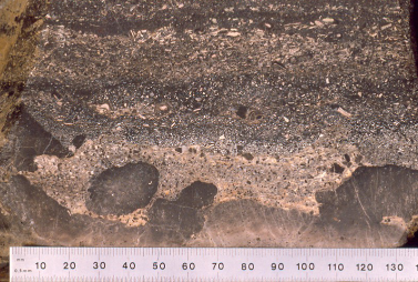 <p>Aerobic decomposition creates anoxic conditions that ripen the area for phosphorite formation. When biogenic particles reach the seafloor, there is little oxygen, so they are decomposed via sulfate reducers, which create phosphate crystals in pore spaces. Nutrients are brought to the surface from upwelling, effectively fixating phosphate minerals there</p>