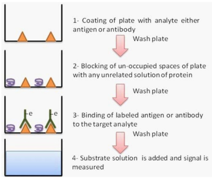 <p>C. Loại bỏ các kháng thể <strong>không</strong> đặc hiệu</p><p>TT Sinh lý PNT, 124</p>