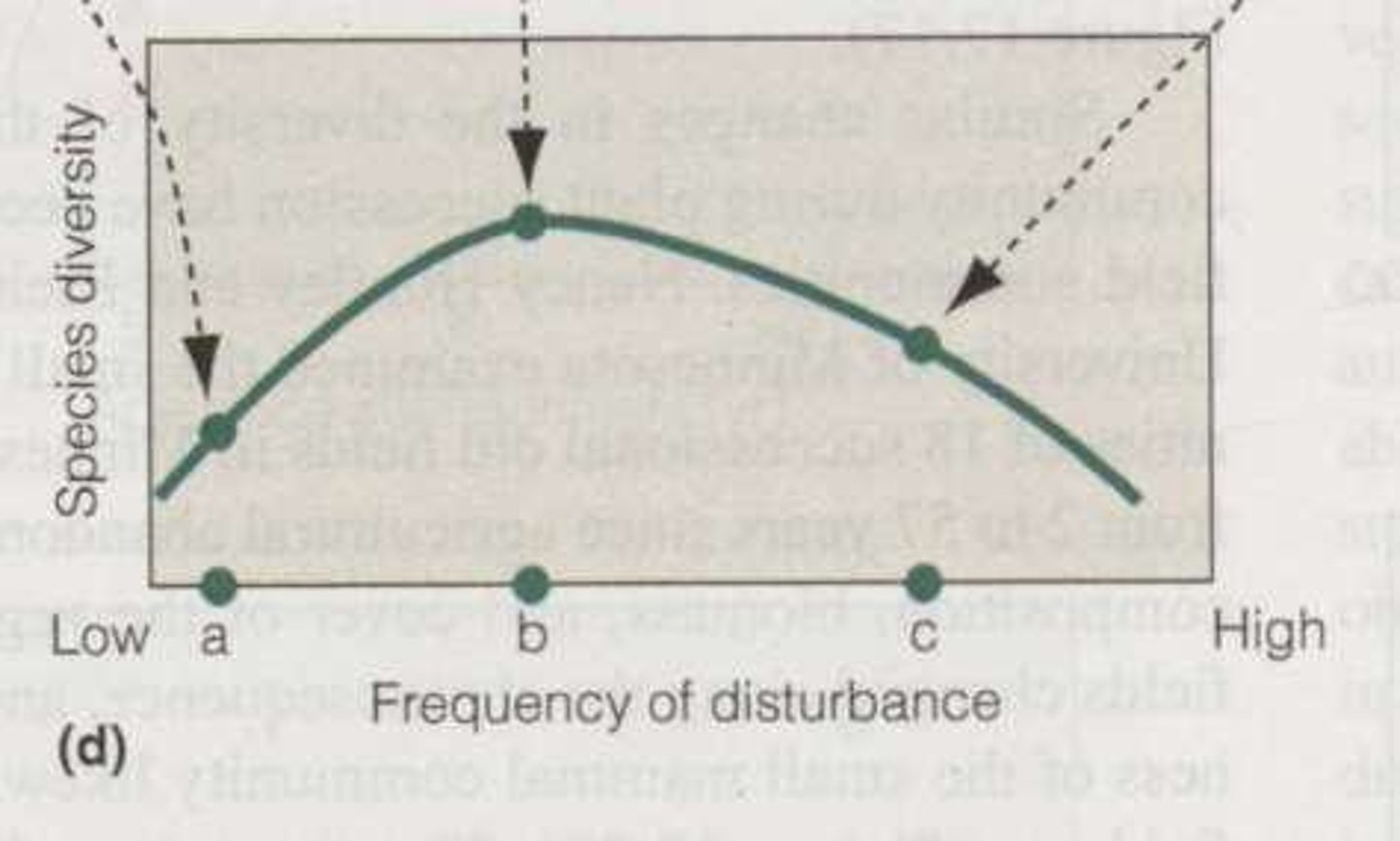 <p>The theory that species diversity is highest at intermediate levels of disturbance.</p>