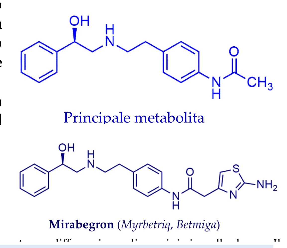 <p>Unica molecola in commerci che attiva i recettori beta3. </p><p>Struttura:</p><ul><li><p>scheletro ariletanolammina</p></li><li><p>1 centro chirale</p></li><li><p>Altra porzione responsabile della selettività beta3</p></li></ul><p>Viene usata per la terapia della vescica iperattiva perchè è in grado di ridurre i sintomi di incontinenza. Stimola i recettori beta3 sul muscolo detrusore della vescica inducendone il rilassamento ed aumentando la capacità della vescica riducendo lo svuotamento.</p><p>Effetti collaterali:</p><ul><li><p>effetti tipici antimuscarinici come secchezza fauci, offuscamento vista, ecc…</p></li><li><p>Inibizione CYP2D6 =interazioni con altri farmaci</p></li><li><p>Ad alte dosi agonista beta1</p></li></ul><p></p>