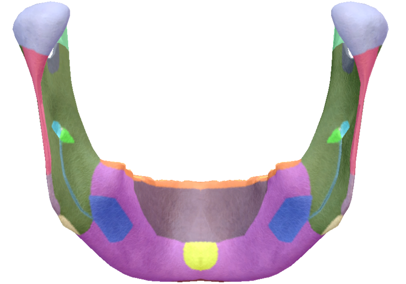 term image