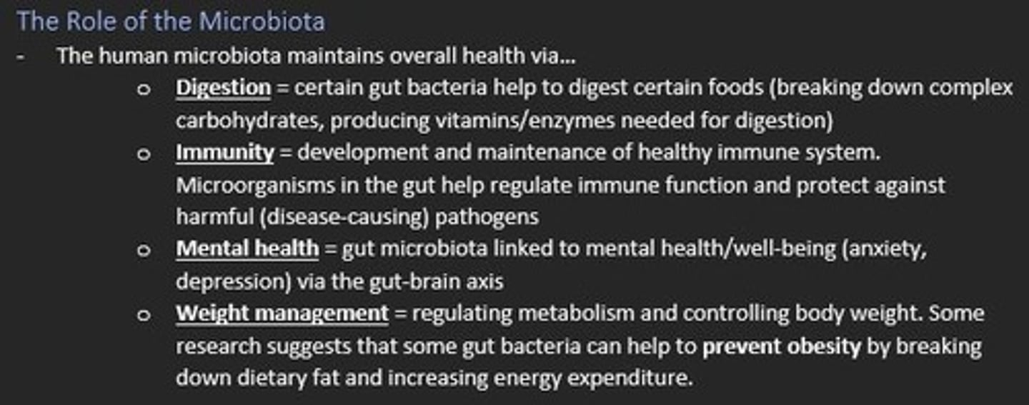 <p>1) Digestion</p><p>Digesting carbohydrates</p><p>Producing vitamins/enzymes needed for digestion</p><p>2) Immunity</p><p>Microorganisms in gut help regulate immune function and protect against harmful pathogens </p><p>3) Mental health </p><p>Gut-brain axis = gut microbiota linked to anxiety and depression</p><p>4) Weight management</p><p>Some gut bacteria help prevent obesity via breaking down dietary fat and increasing energy expenditure</p>