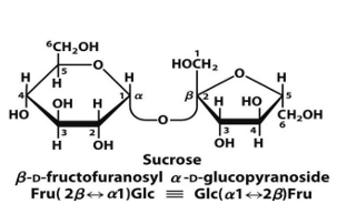 <p>stable toward oxidation and makes it suitable as a storage and transport molecule for energy</p><ul><li><p>because is not easily oxidized and is not reducing sugar </p></li></ul><p></p>